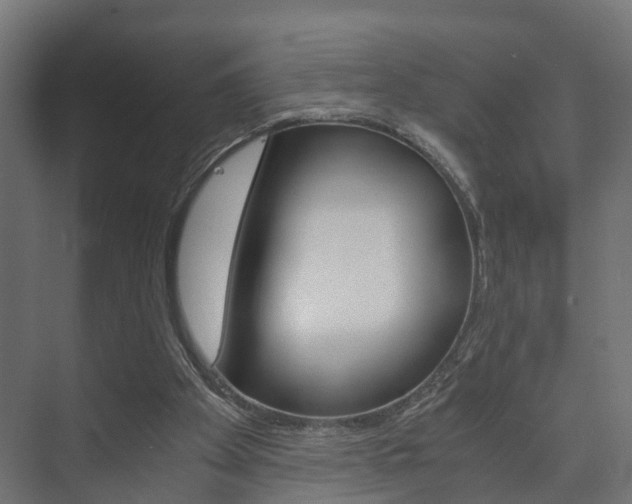 X0000073700105200608031025