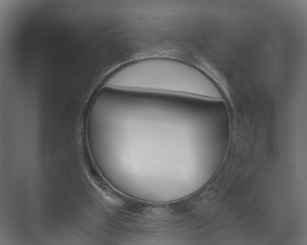 X0000073700107200608031025