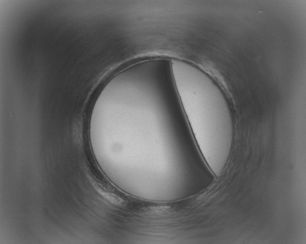 X0000073700108200608031025