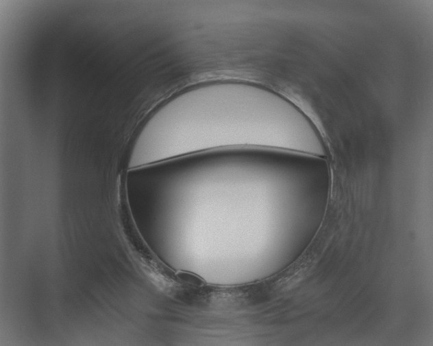 X0000073700109200608031025