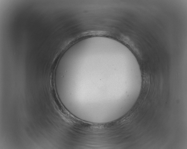 X0000073700110200608031025