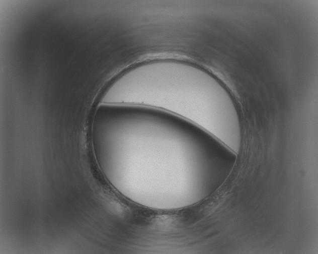 X0000073700111200608031025