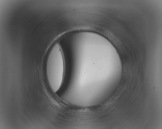 X0000073700112200608031025