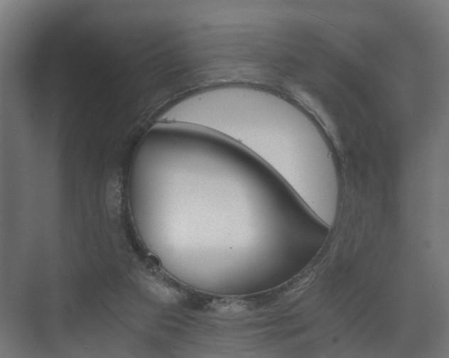 X0000073700113200608031025