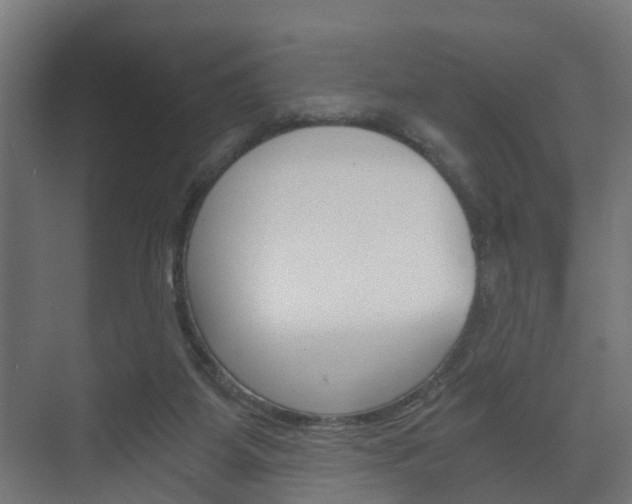 X0000073700115200608031025