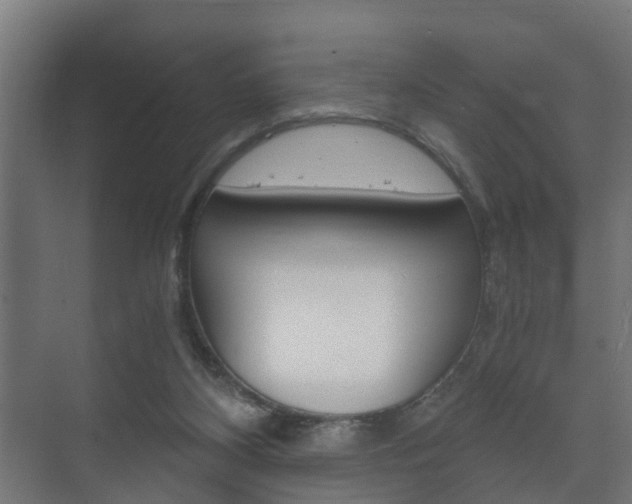 X0000073700116200608031025