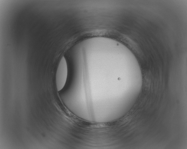 X0000073700118200608031025