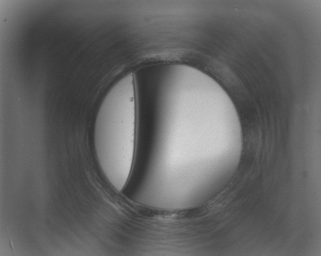 X0000073700120200608031024