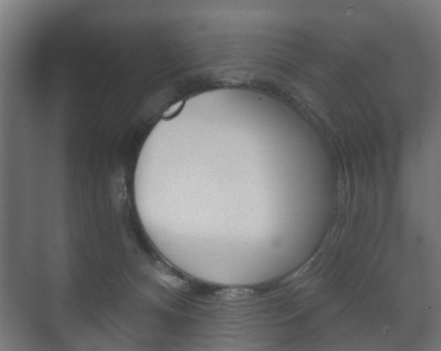 X0000073700128200608031024