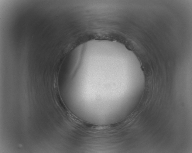 X0000073700129200608031024