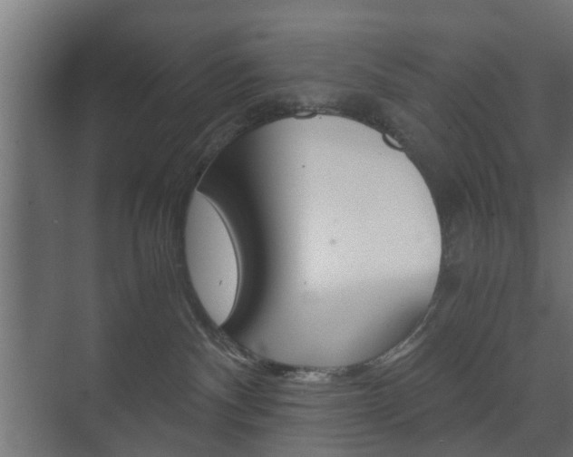 X0000073700140200608031024