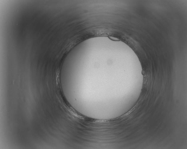 X0000073700142200608031024