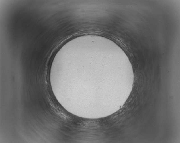 X0000073700146200608031023