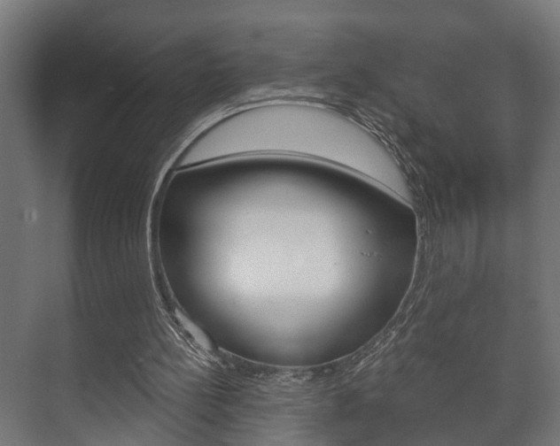 X0000073700148200608031023