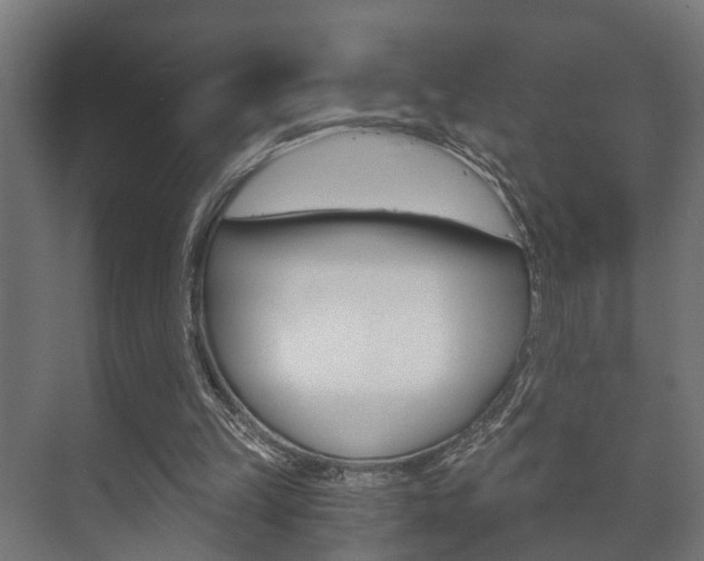 X0000073700149200608031023