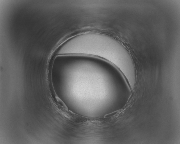 X0000073700150200608031023