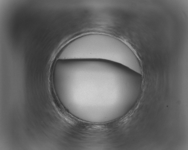 X0000073700151200608031023