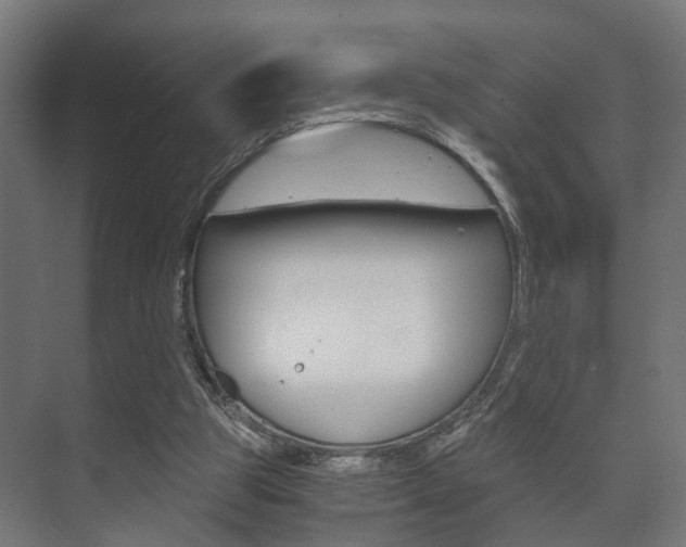 X0000073700153200608031023