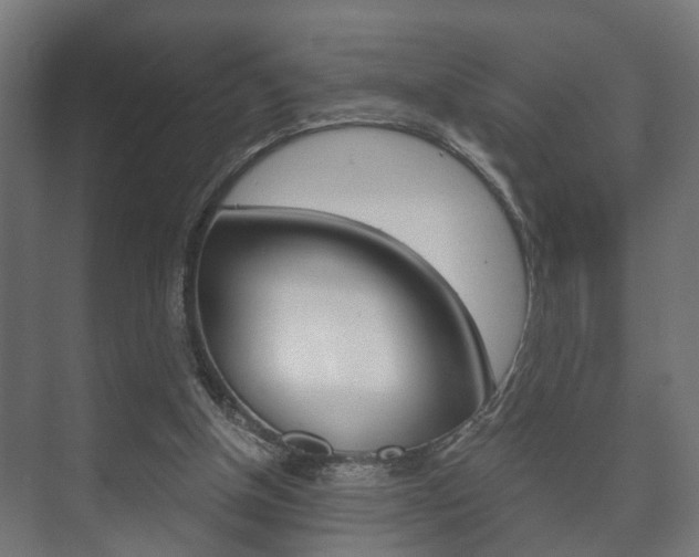 X0000073700154200608031023