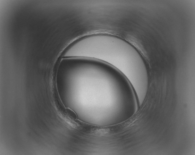 X0000073700156200608031023