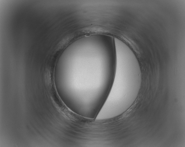 X0000073700158200608031023