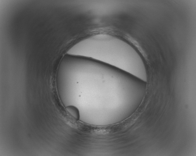 X0000073700161200608031024