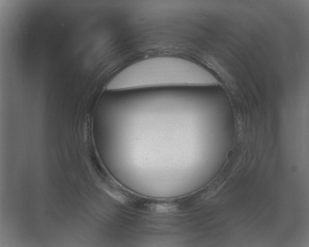 X0000073700165200608031024