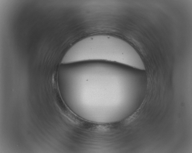 X0000073700166200608031024