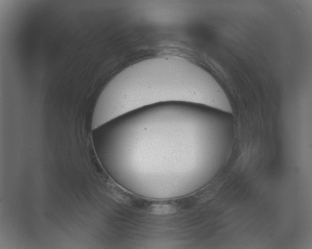 X0000073700169200608031024