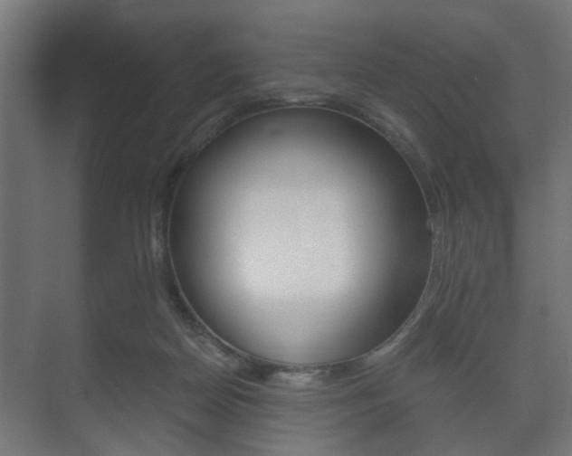 X0000073700170200608031024