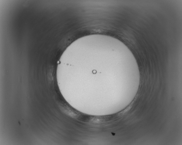 X0000073700174200608031024