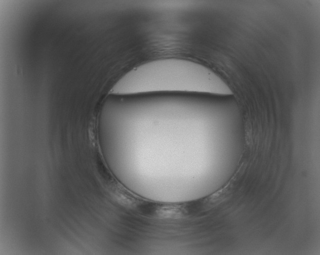 X0000073700175200608031024