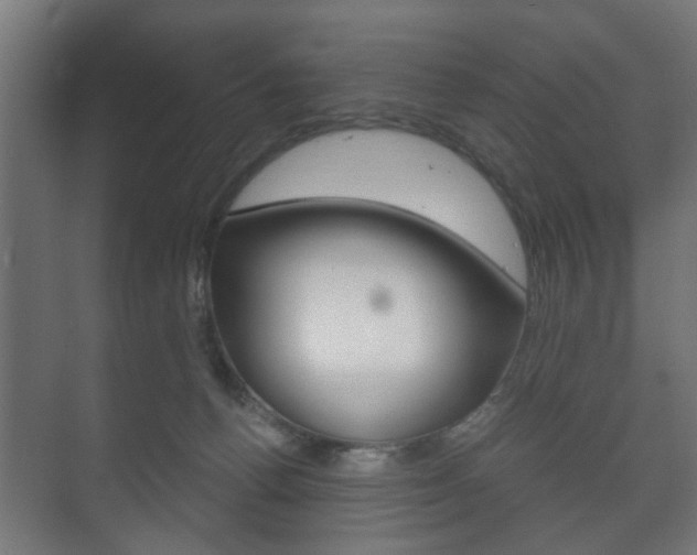 X0000073700176200608031024