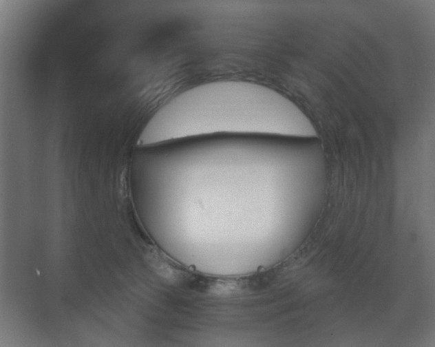 X0000073700177200608031024