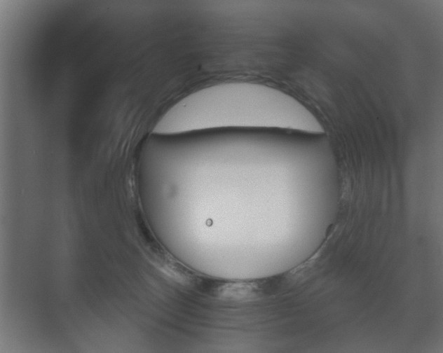 X0000073700179200608031024