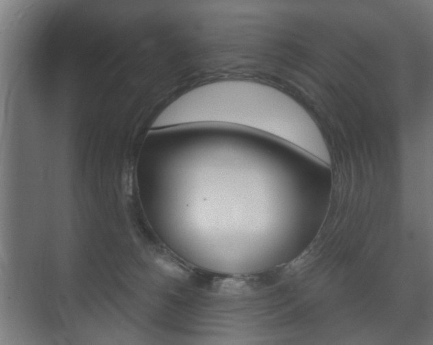 X0000073700180200608031024