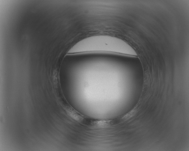 X0000073700184200608031024