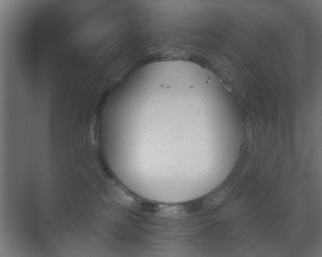 X0000073700185200608031024