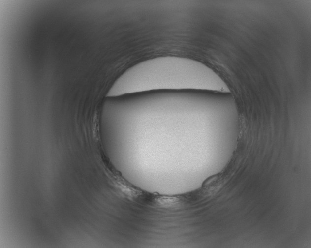 X0000073700189200608031024