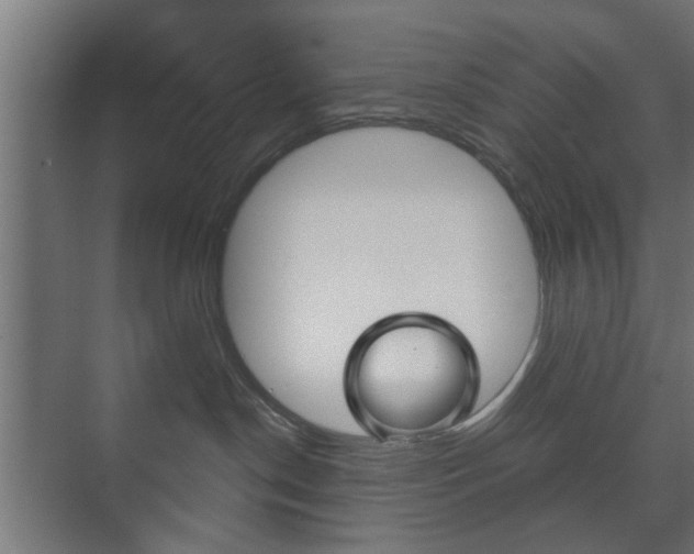 X0000073700190200608031024