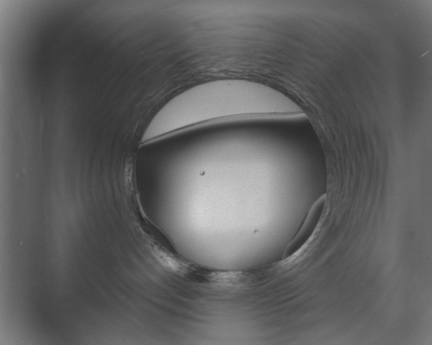 X0000073700192200608031024