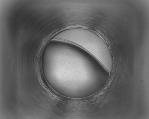 X0000073700193200608031023