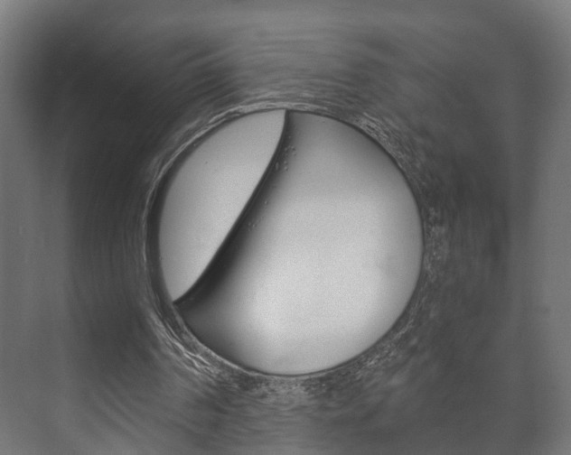 X0000073700194200608031023