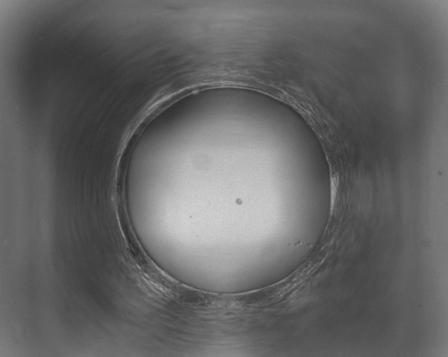 X0000073700195200608031023