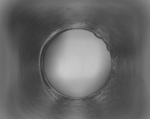 X0000073700196200608031023