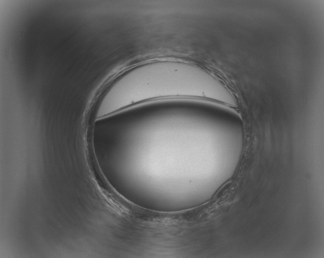 X0000073700197200608031023