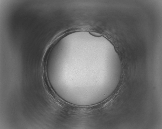 X0000073700198200608031023