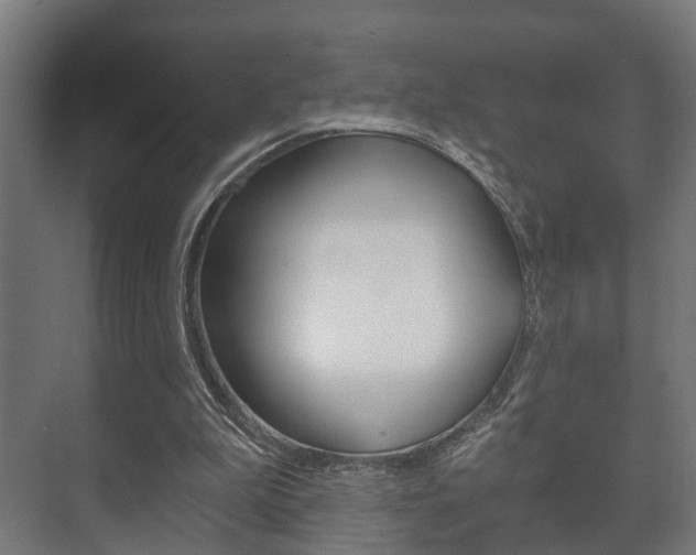 X0000073700199200608031023