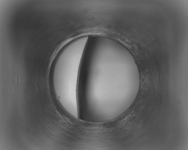 X0000073700200200608031023