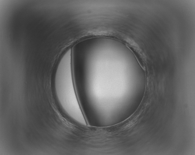 X0000073700201200608031023